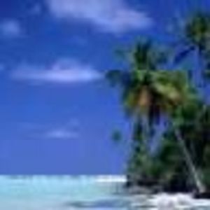 Meet your Posher, Nita